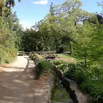 Tulipan