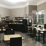 Tulipan Průhonice