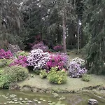Tulipan 3* Průhonice