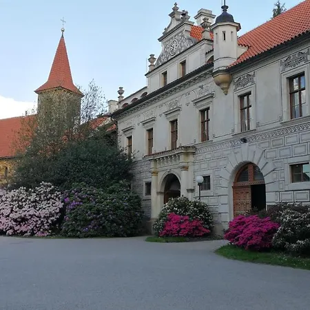 Отель Tulipan