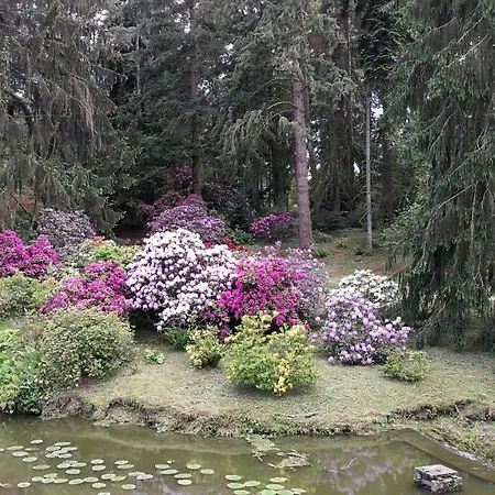 Tulipan 3* Pruhonice