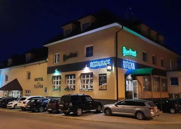 潘普鲁洪尼斯图利酒店 酒店