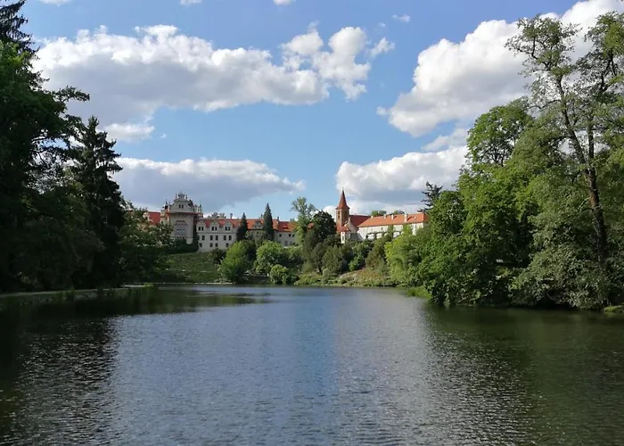 潘普鲁洪尼斯图利酒店